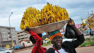 Uganda, 2 bin Afgan sığınmacıyı kabul edecek
