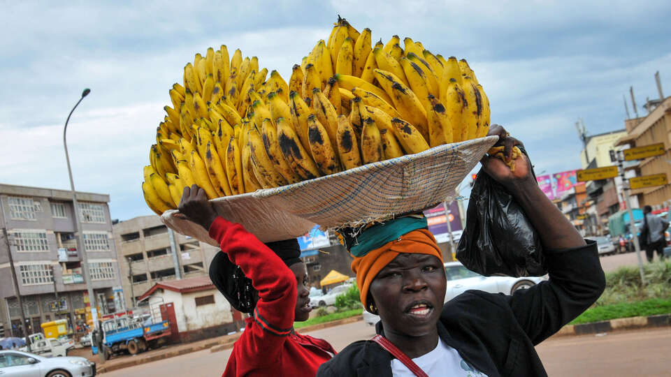 Uganda, 2 bin Afgan sığınmacıyı kabul edecek