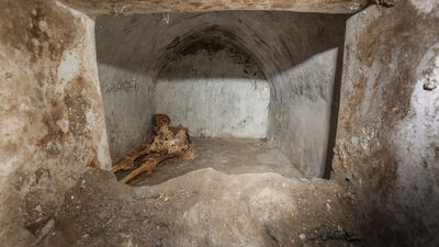 Sıra dışı keşif... Çok iyi korunmuş!