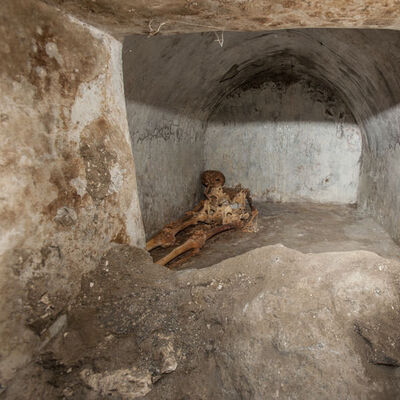 Sıra dışı keşif... Çok iyi korunmuş!