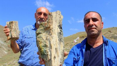 Erzurum'da 160 milyon yıllık keşif