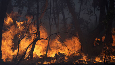 Fransa'nın en kötü yaz yangını!