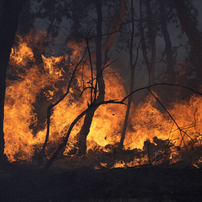 Fransa'nın en kötü yaz yangını!