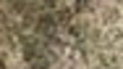 BMMYK: Her hafta 20 ila 30 bin Afgan ülkeden ayrılıyor