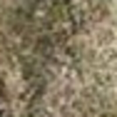 BMMYK: Her hafta 20 ila 30 bin Afgan ülkeden ayrılıyor