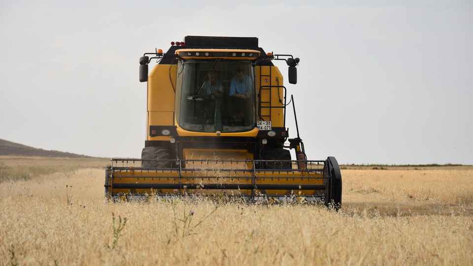 Tarım-GFE yıllık yüzde 27.65 arttı