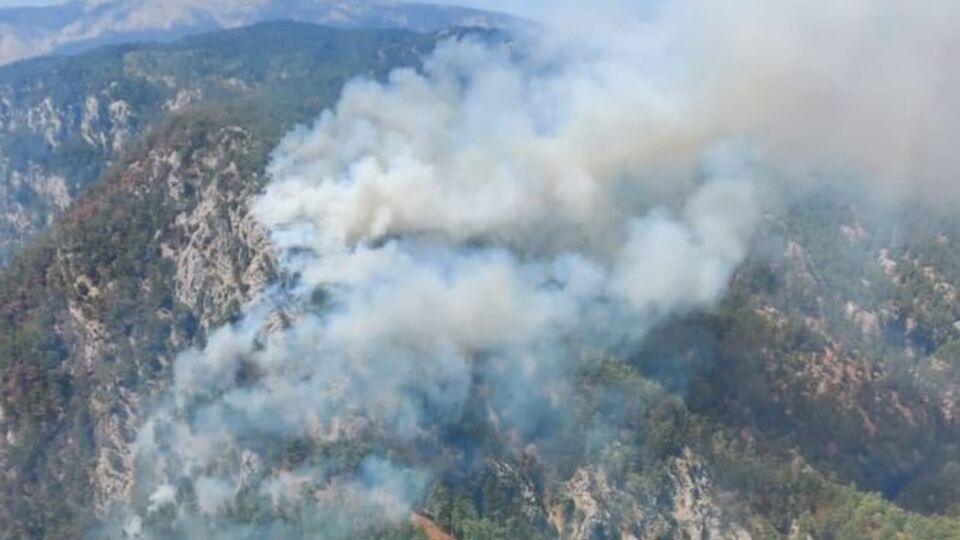 Muğla ve İzmir'de orman yangınları çıktı!