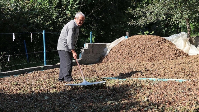 80 yaşındaki Muhittin dede çalışma azmiyle örnek oluyor
