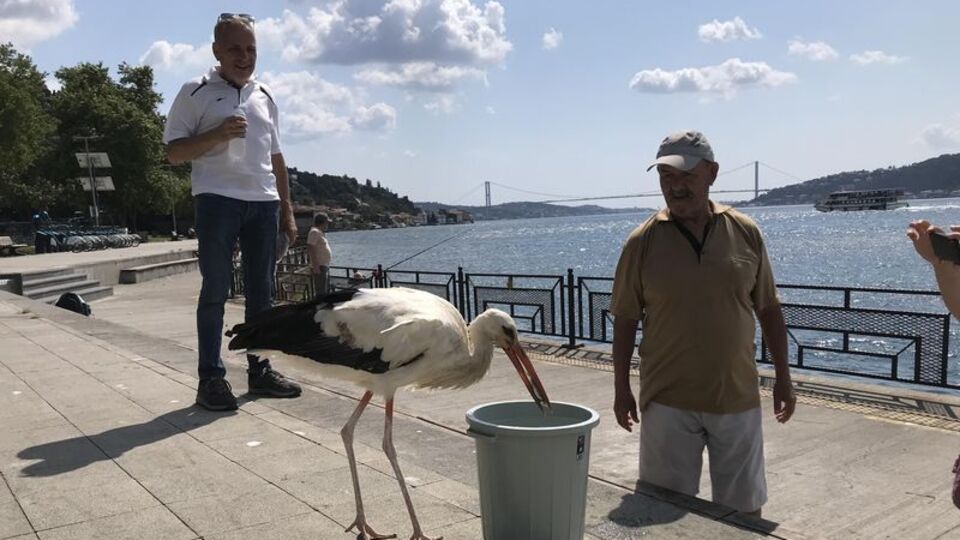 İstanbul Boğazı'nın Yaren'i