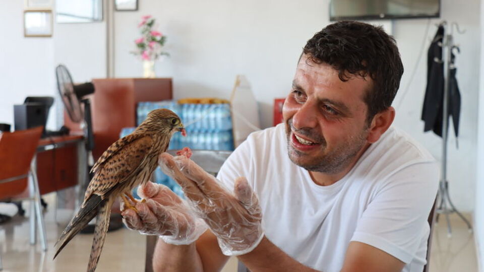 Atmaca yavrusu ile lokantacının dostluğu