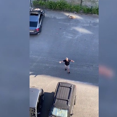 Herkes sokak köpeğinin hakkını savunan Daire 16 Özay Kaya'yı konuşuyor!