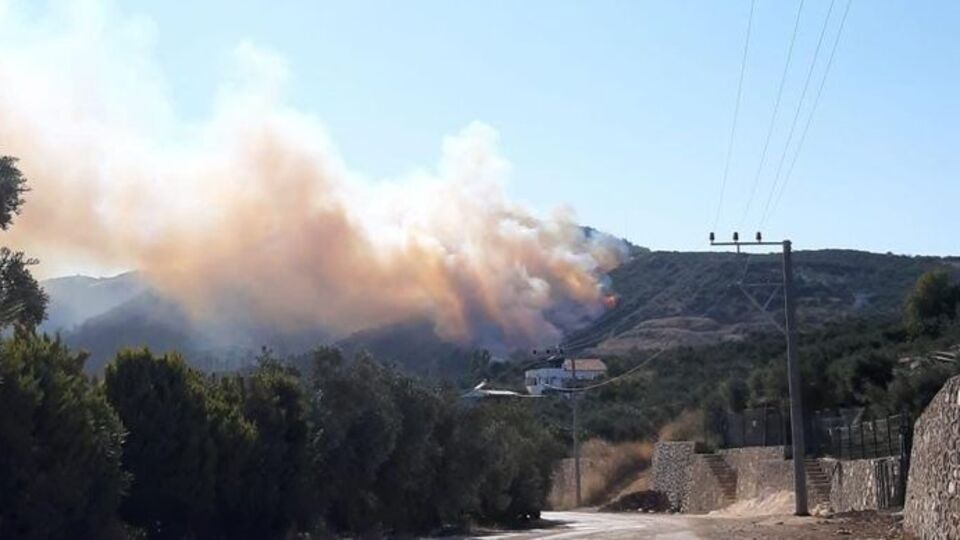 Mudanya'da orman yangını