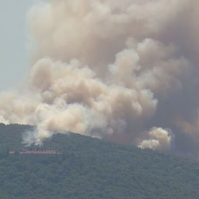 Heybeliada'da ormanlık alanda yangın çıktı!