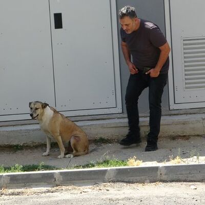 'Köpük' yerinde kalacak