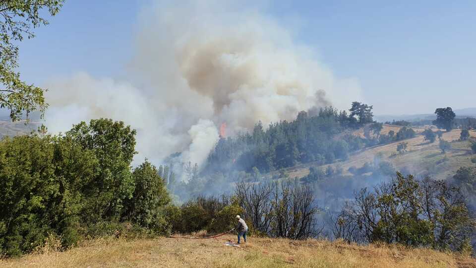 Balıkesir'de korkutan orman yangını!