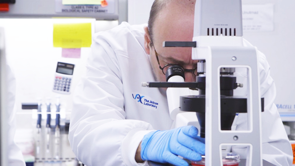 Tarih verdi! Delta varyantı kontrol altına alınabilir