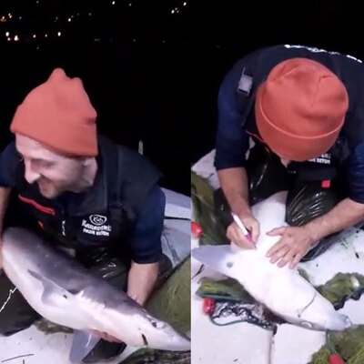 Trabzonlu balıkçının köpekbalığıyla diyaloğu interneti salladı