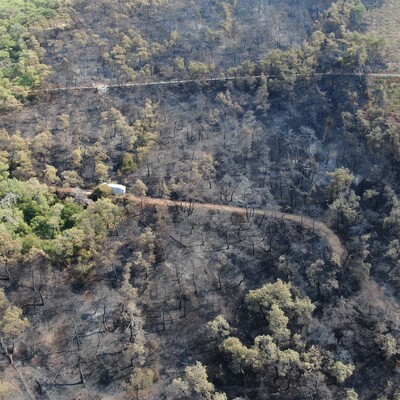 Heybeliada'da içler acısı görüntü!