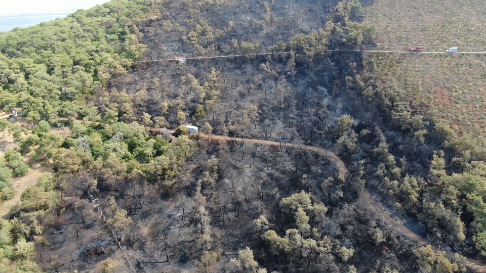 Heybeliada'da içler acısı görüntü!
