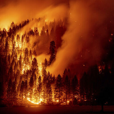 California'daki yangınlar için 'büyük afet' ilanı talebi!