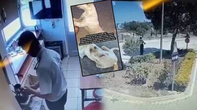 Şoke eden olay! Kaynar suyla haşladı