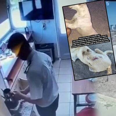 Şoke eden olay! Kaynar suyla haşladı