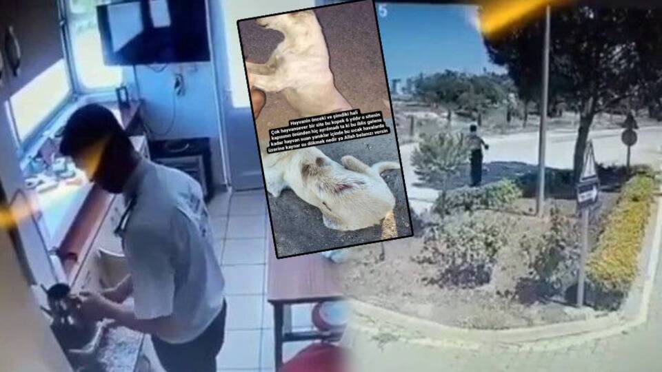 Şoke eden olay! Kaynar suyla haşladı