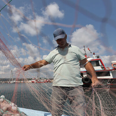 Müsilaj bitti mi, balık yenebilir mi?