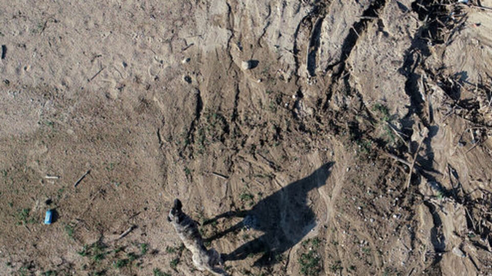 Suyumuzu tehdit eden kâbus!