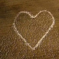 Avustralyalı çiftçi, koyunlarıyla teyzesi için dev bir kalp yaptı