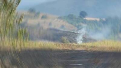 Tarlada başlayan yangın ormana sıçradı