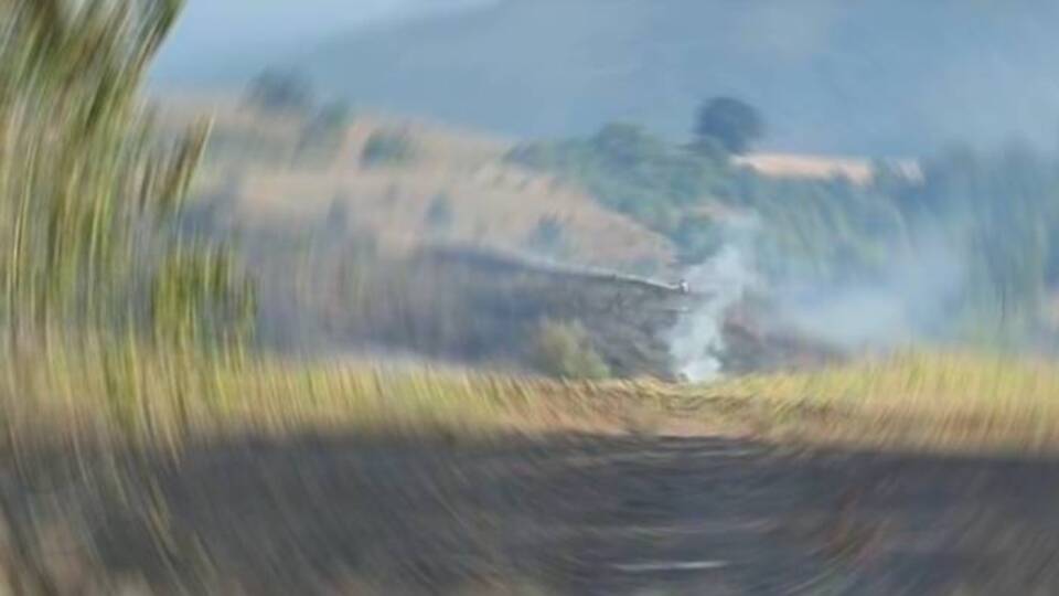 Tarlada başlayan yangın ormana sıçradı