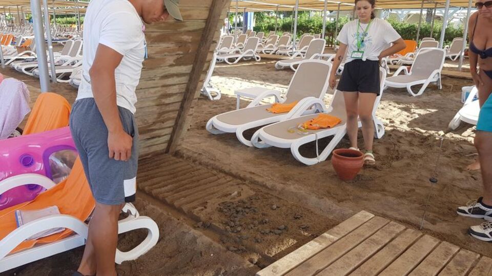 Carettalara ölüm tuzağı oldu!