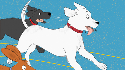 Bir köpeğin dünyasından hayata bakmak