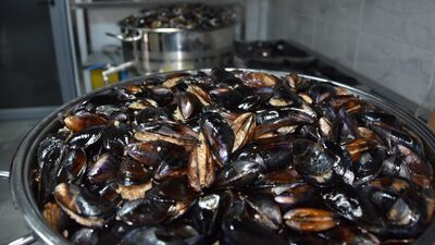 Diyanet'ten "deniz ürünleri" ile ilgili yeni açıklama