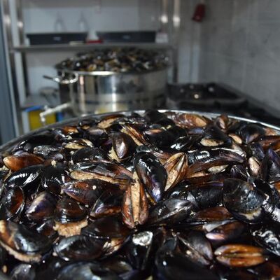 Diyanet'ten "deniz ürünleri" ile ilgili yeni açıklama