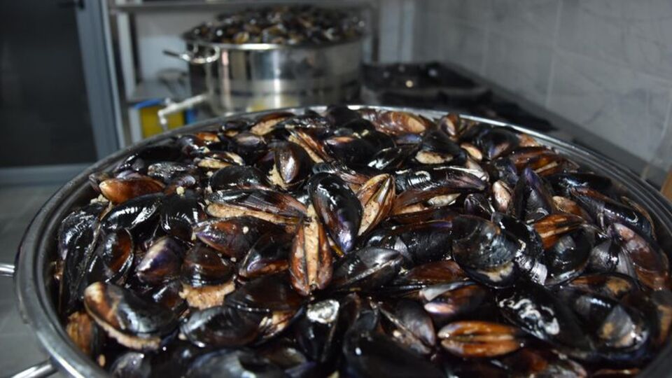 Diyanet'ten "deniz ürünleri" ile ilgili yeni açıklama