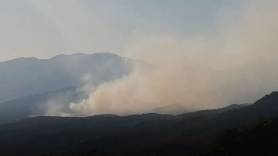 Ülke genelindeki 6 orman yangını kontrol altına alındı