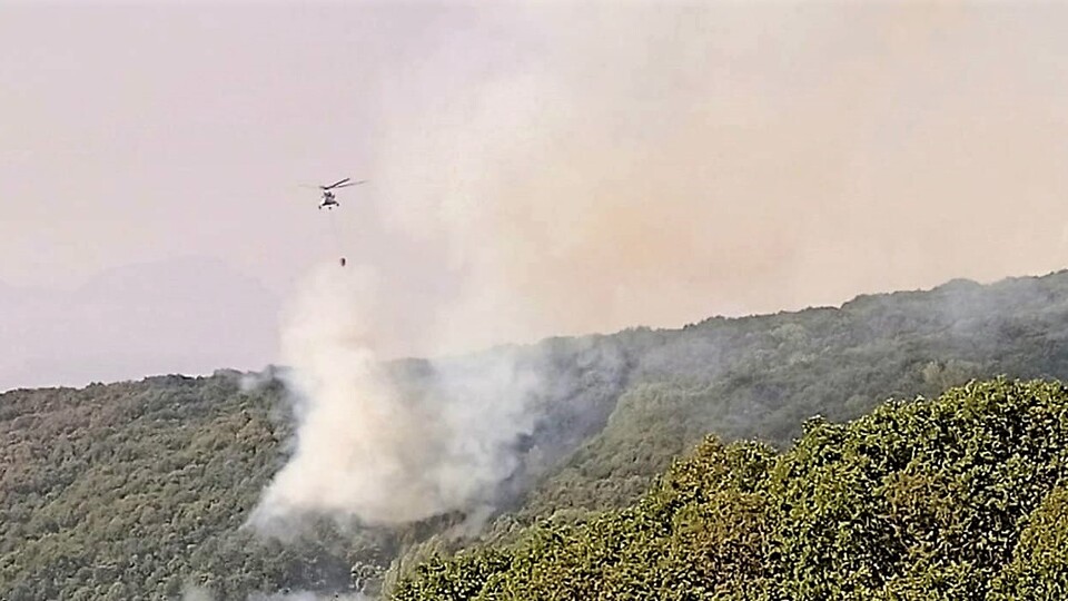Tunceli'deki orman yangını kontrol altında