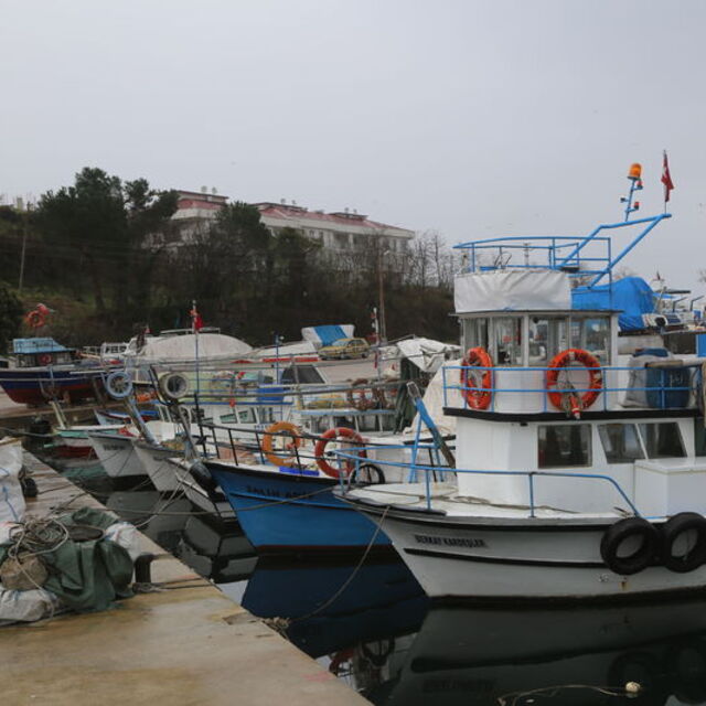 Balıkçılıkta av sezonu başlıyor