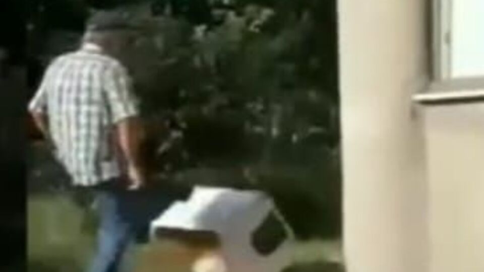 Kediyi tekmeleyip kulübesini parçaladı!