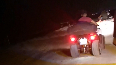 Yavru caretta carettaları ezip gönüllüyü yaraladılar!