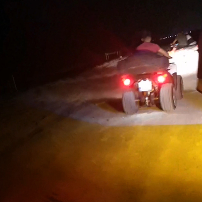 Yavru caretta carettaları ezip gönüllüyü yaraladılar!