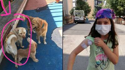 Emekli polis dehşet saçtı! Köpekten sekti, Ayşe'ye isabet etti