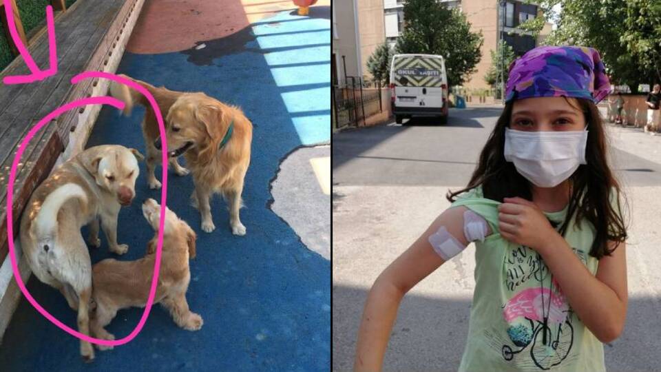 Emekli polis dehşet saçtı! Köpekten sekti, Ayşe'ye isabet etti