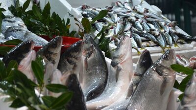 Eylül ayında hangi balık yenir?