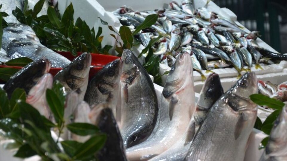 Eylül ayında hangi balık yenir?