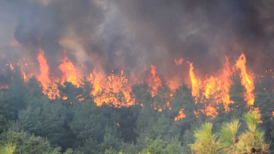 Çanakkale'deki yangın kontrol altında