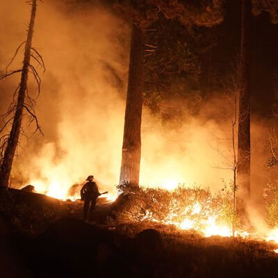 California'da "Caldor" yangını!