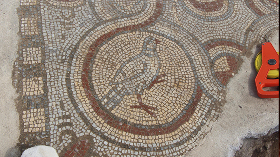 Balatlar kazısında Bizans mozaikleri çıktı